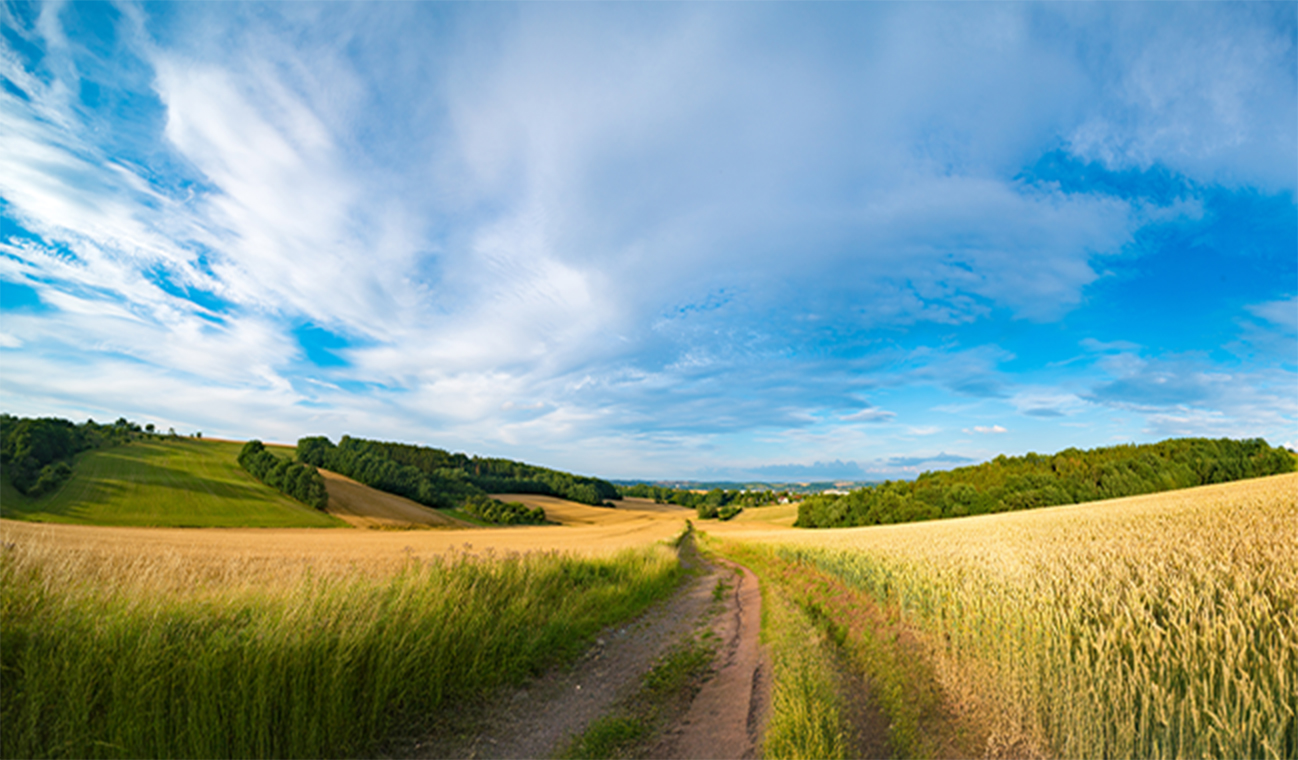 KS_KansasMkt_649x380@2x