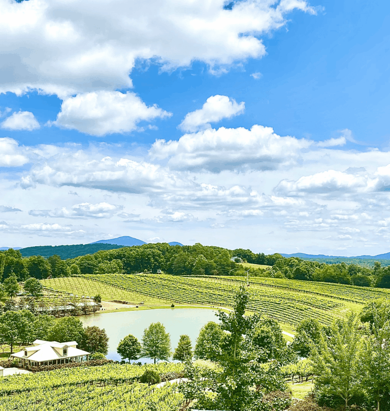 Property List -Market_GA_MktOverview