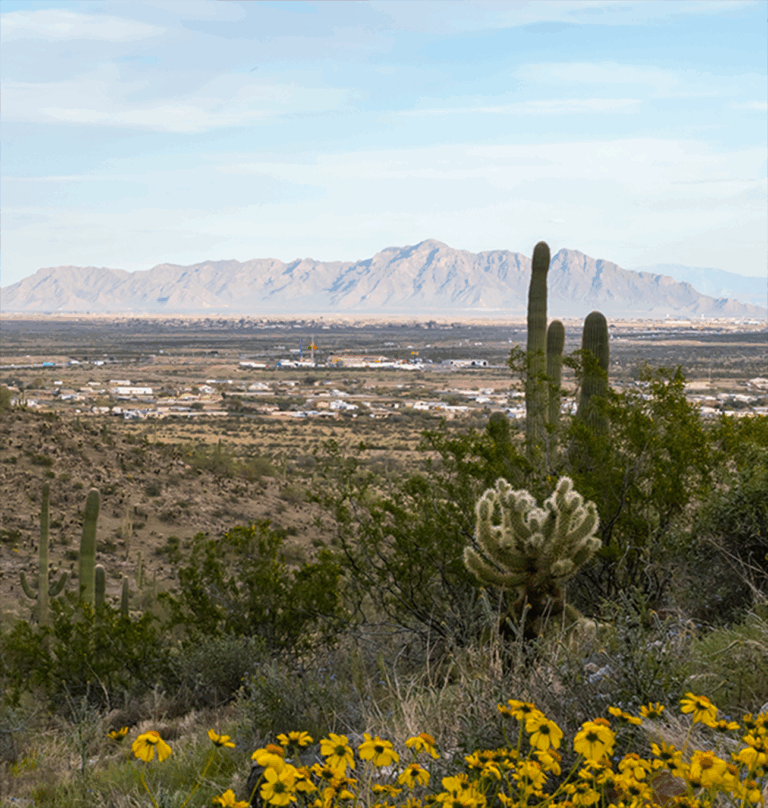 az-casa-grande-land-services@2x