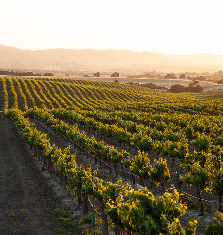 ca-central-land-services@2x