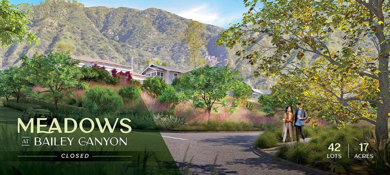 Meadows at Bailey Canyon – Resized